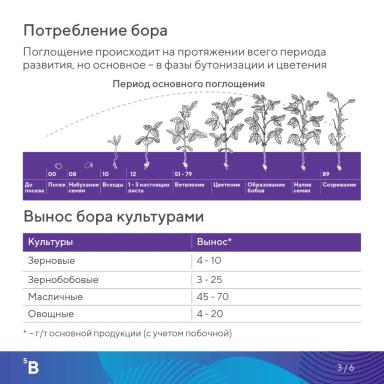 Элементарно об элементах: бор