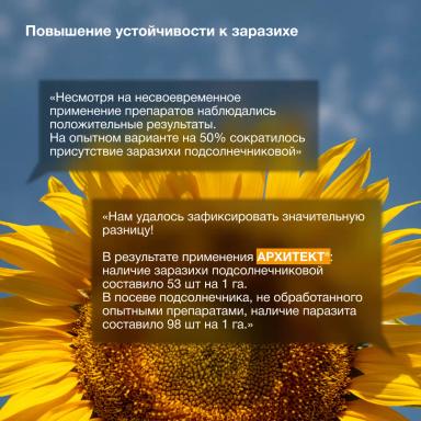 Дополнительный элемент в борьбе с заразихой подсолнечниковой