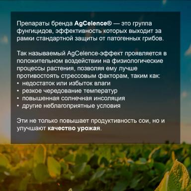Соевый агрокалендарь