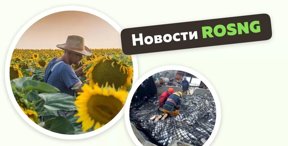 Обзор новостей за 17 октября