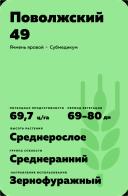 Поволжский 49 сорт ярового ячменя
