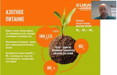 Особенности применения удобрений при возделывании кукурузы