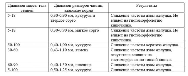 Размер частиц корма и его влияние на здоровье кишечника свиней