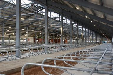 Чем мы занимаемся?