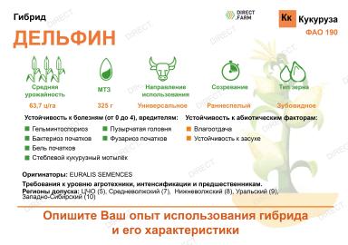 Дельфин (DELPHINE) гибрид кукурузы