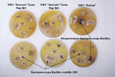 ФИТОСПОРИН АС, Ж – НОВЫЙ УРОВЕНЬ БИОЗАЩИТЫ!