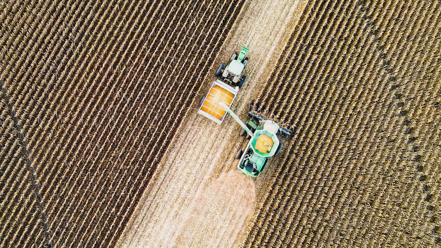 Начинает действовать квота на экспорт зерна