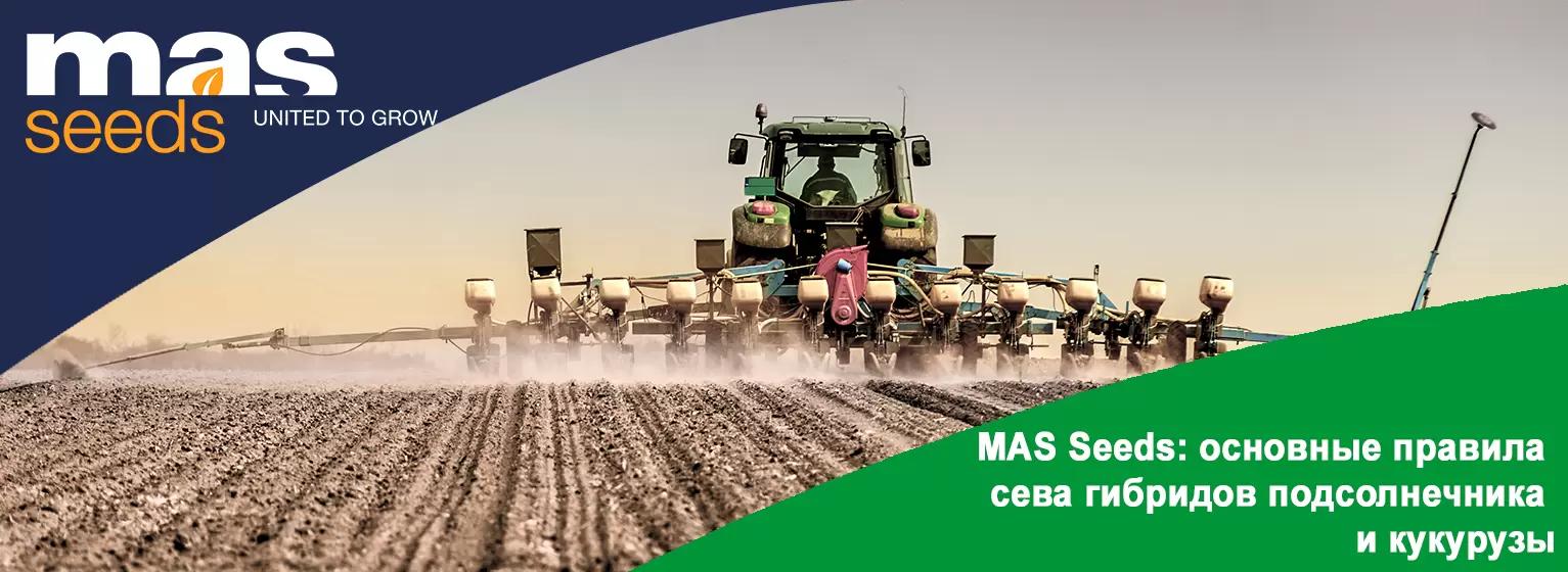 Основные правила сева: успешное возделывание гибридов подсолнечника и кукурузы