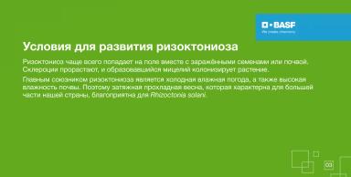 СЕРКАДИС®: боремся с ризоктониозом картофеля