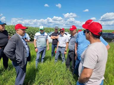 🌱 Эффективные решения для кукурузы на примере посевов в АФ «Актаныш»