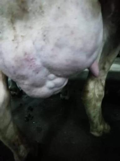 Актиномикоз