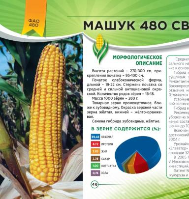 Машук 480 СВ