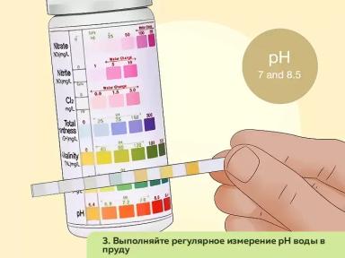 Как организовать ферму по разведению пресноводных раков. Часть 4