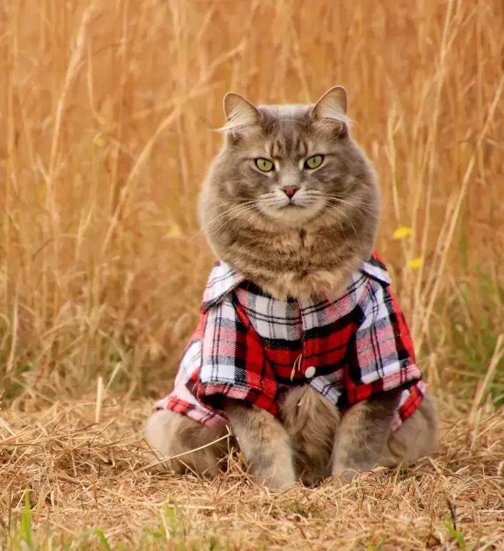 8 признаков плохого агронома