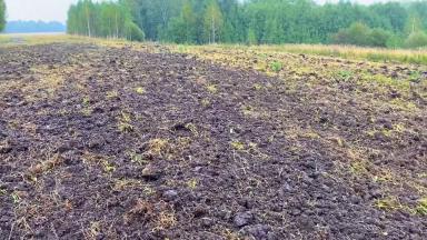 Ввод залежных земель в оборот за один год: опыт алтайских фермеров