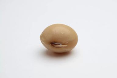 УНИКАлен во многом