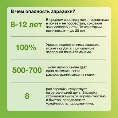 Заразиха. Стоп!