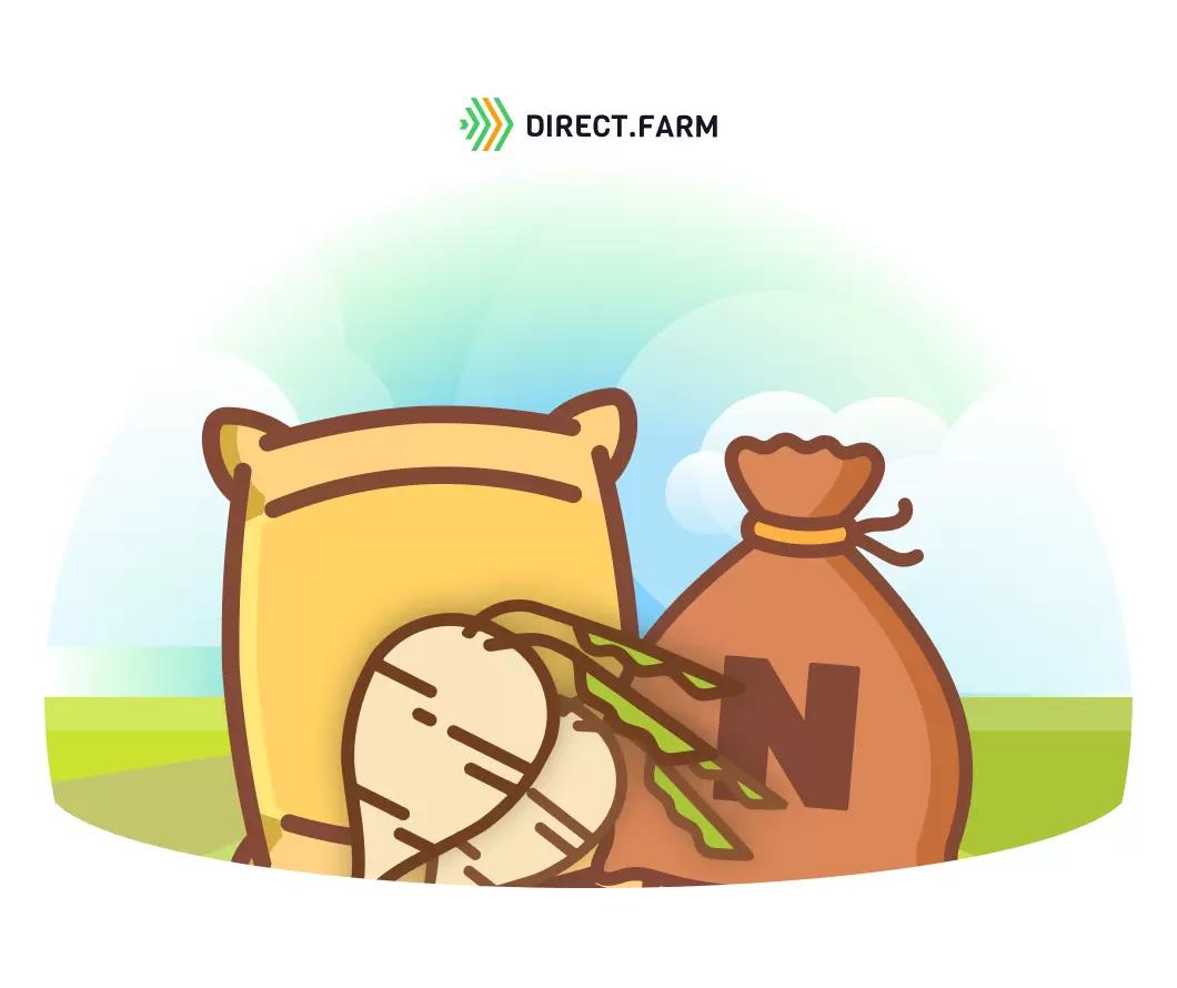 Актуальна ли подкормка сахарной свёклы?