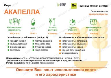 Акапелла ® сорт мягкой озимой пшеницы