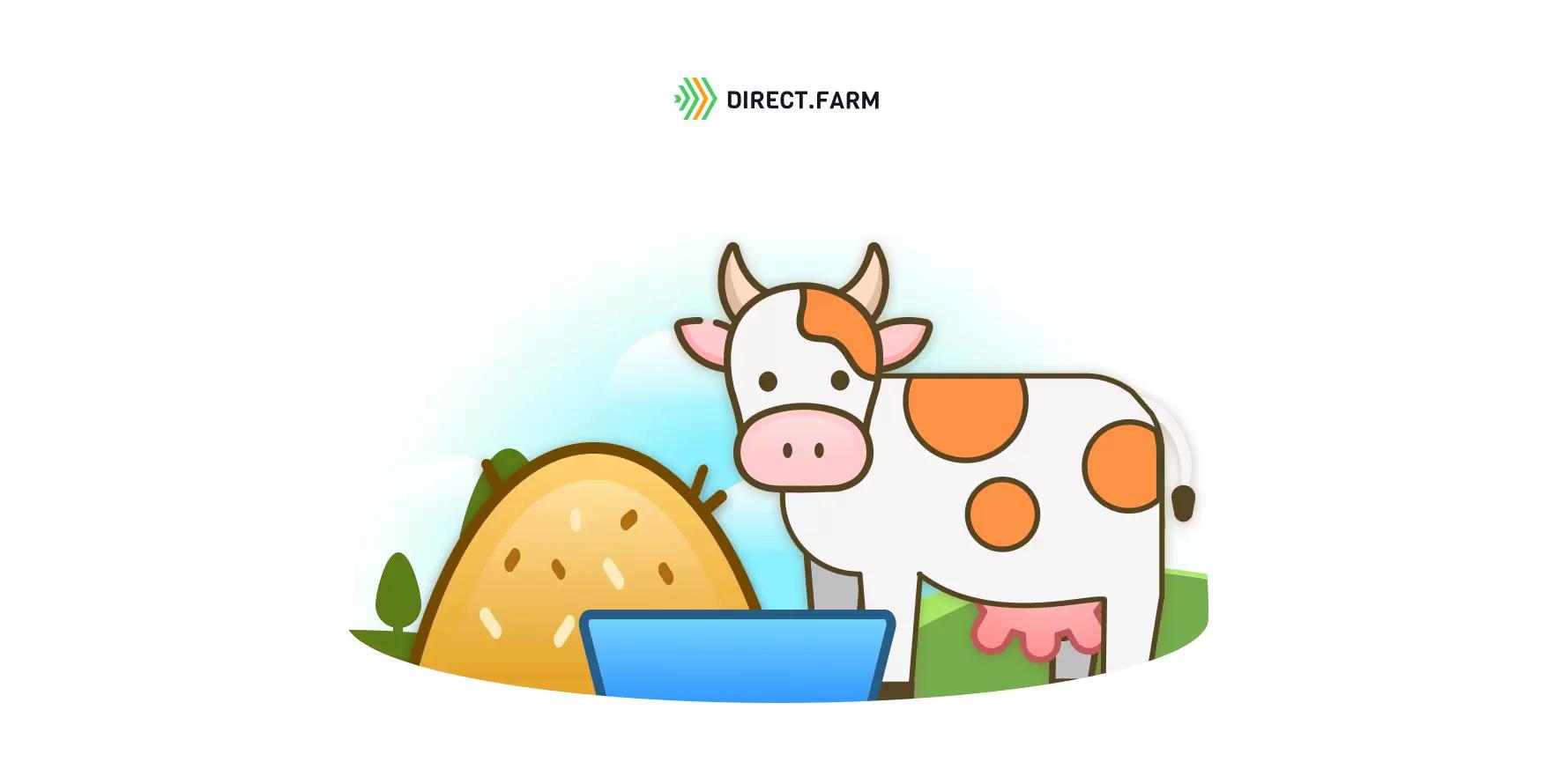 Рацион в сухостойный период