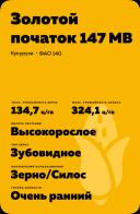 Золотой початок 147 МВ гибрид кукурузы