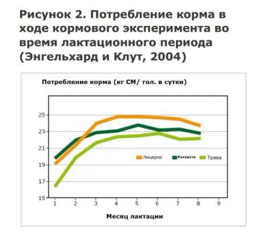 Питательная ценность люцерны и правила ее применения