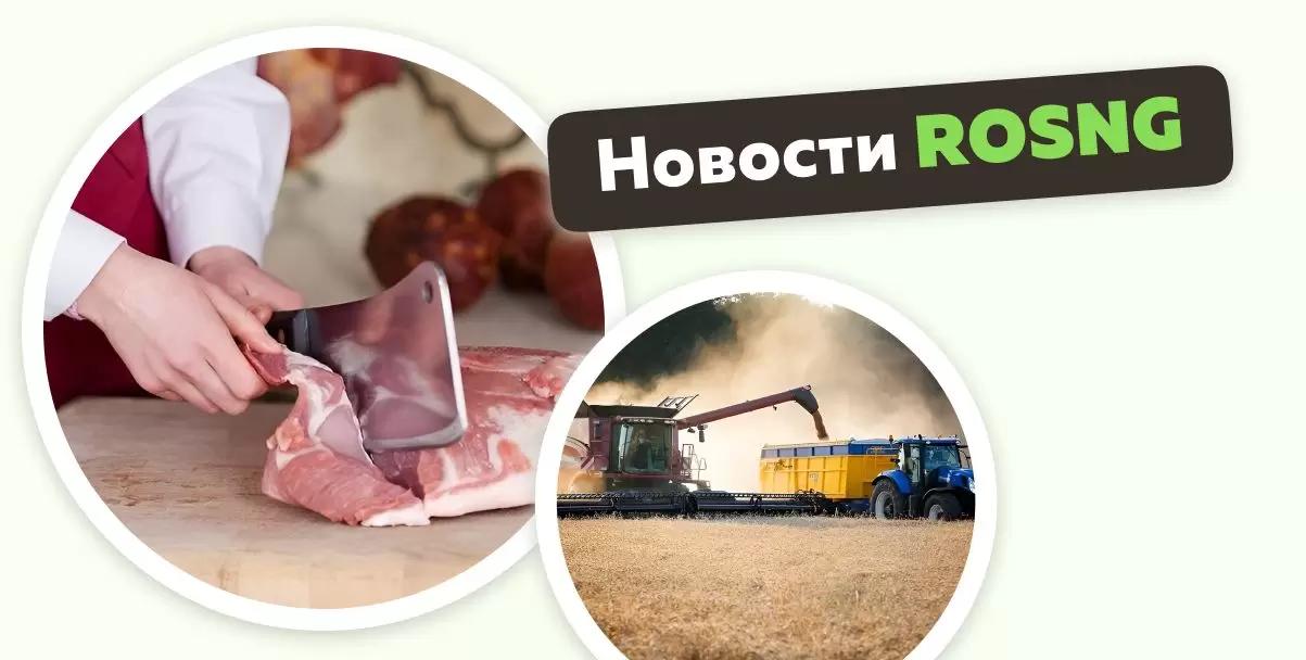 Обзор новостей за 14 ноября