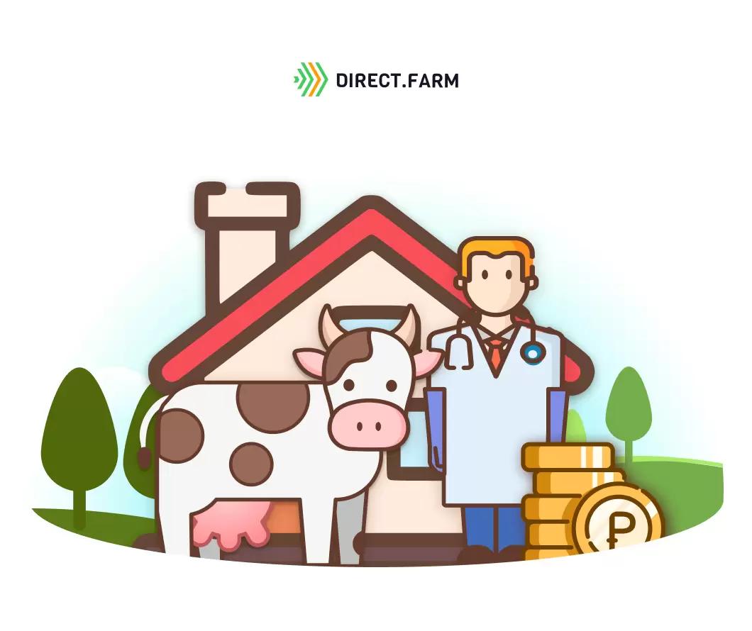 Какие существуют меры поддержки молодого специалиста на селе? 