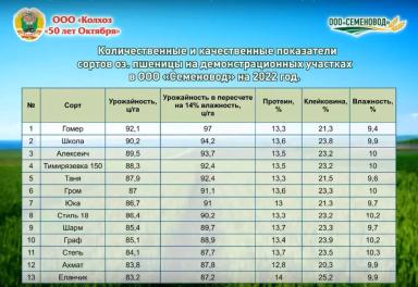 Подбор сортов озимой пшеницы по мнению практиков