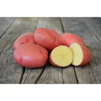 Ред Скарлетт