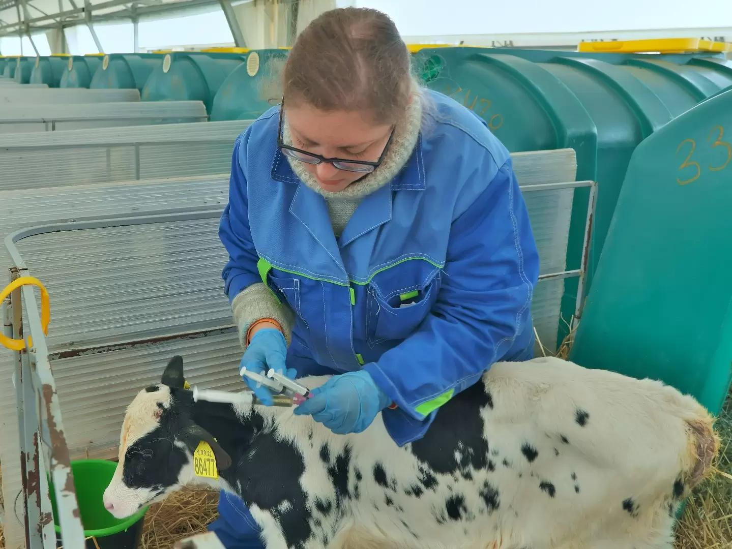 Производители просят отложить введение обязательной маркировки ветпрепаратов