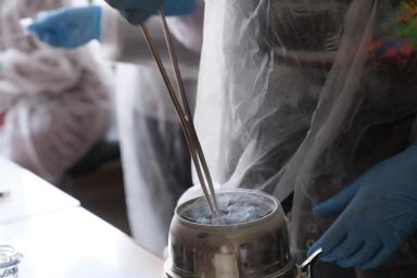 БИОТЕХНОЛОГИИ В СЕЛЕКЦИИ РАСТЕНИЙ