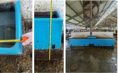 Как болезнь копыт, может быть связана с неправильной организацией водопоения