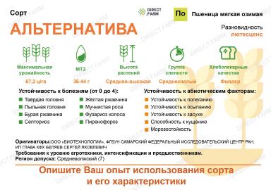 Альтернатива сорт мягкой озимой пшеницы