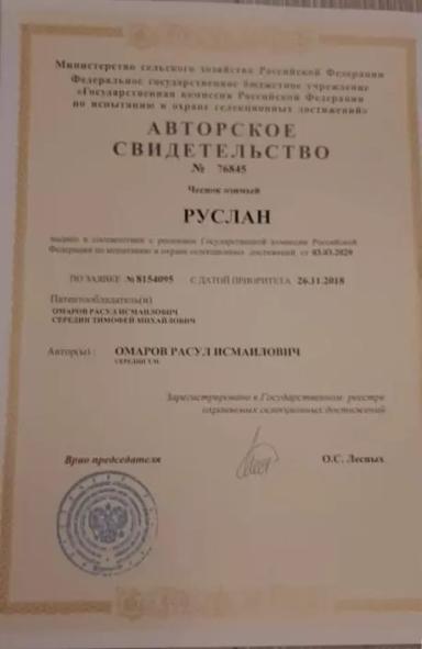 Фермерское хозяйство эко-чеснок