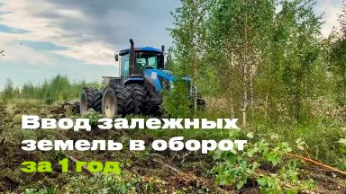 Ввод залежных земель в оборот за один год: опыт алтайских фермеров