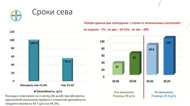 Посев кукурузы