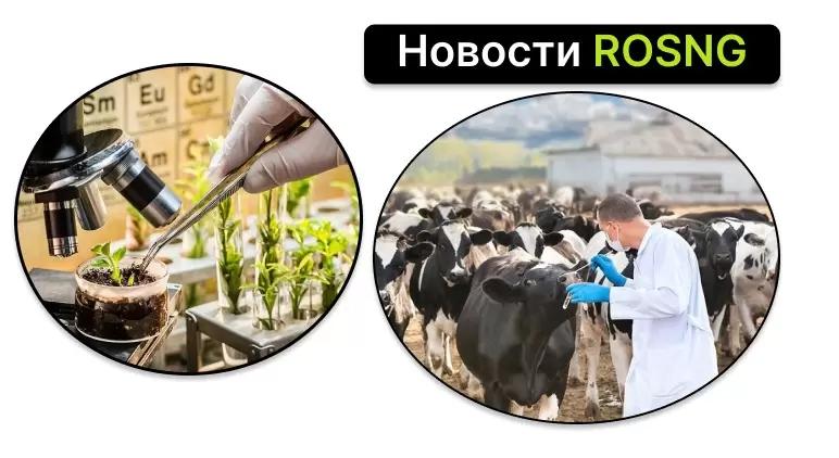 Дайджест новостей за 20 июля