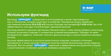 СЕРКАДИС®: боремся с ризоктониозом картофеля