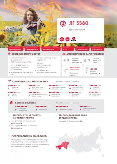 ЛГ 5580 подсолнечник