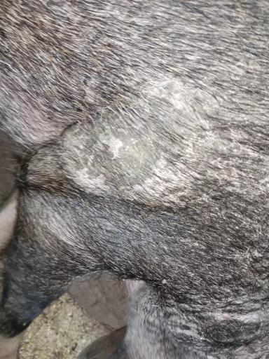 Прошу помощи!