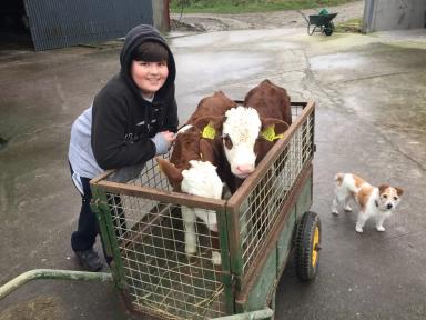 Поговорим о молодняке… (часть 2)