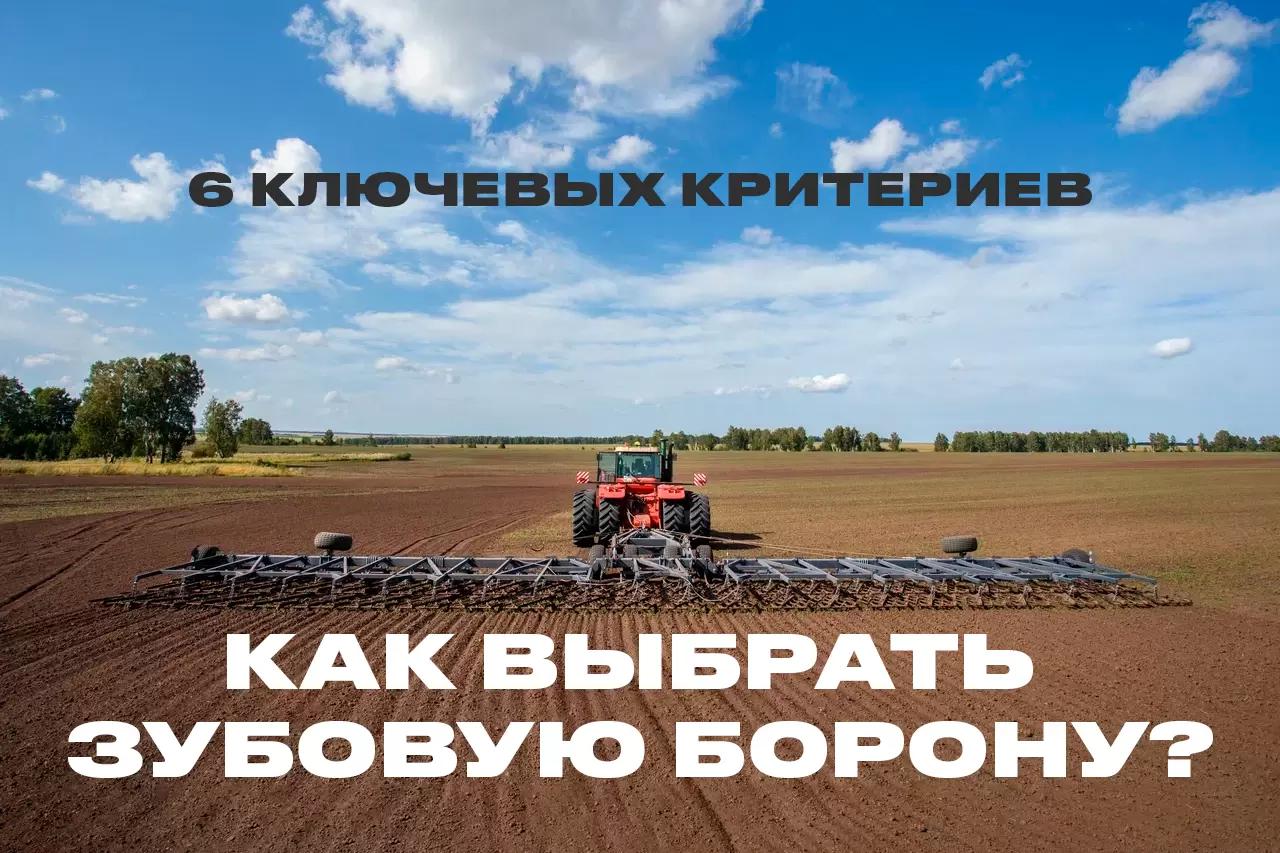 Как выбрать зубовую борону: 6 ключевых критериев, которые действительно важны