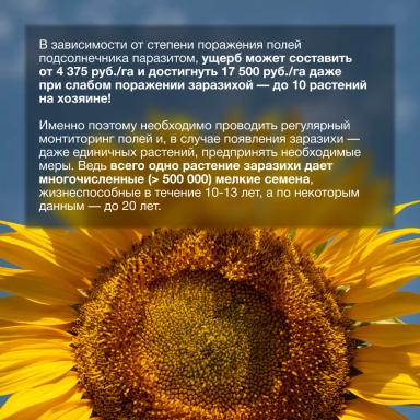 Экономические потери от заразили