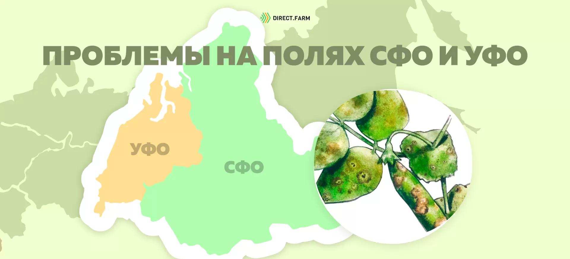 Угроза: Болезни гороха