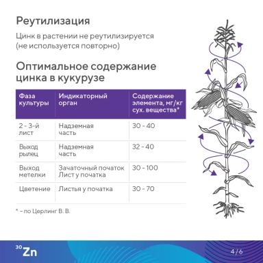 «Элементарно об элементах!» – цинк