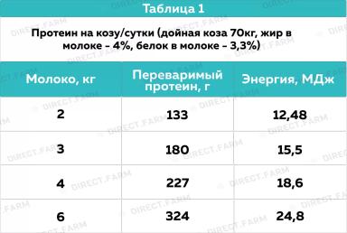 Кормление высокопродуктивных коз: зааненская и альпийская порода