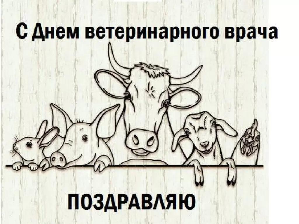 С международным днём ветеринарного врача.