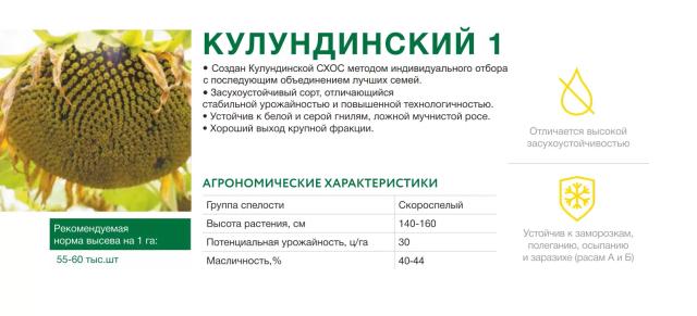 Кулундинский 1