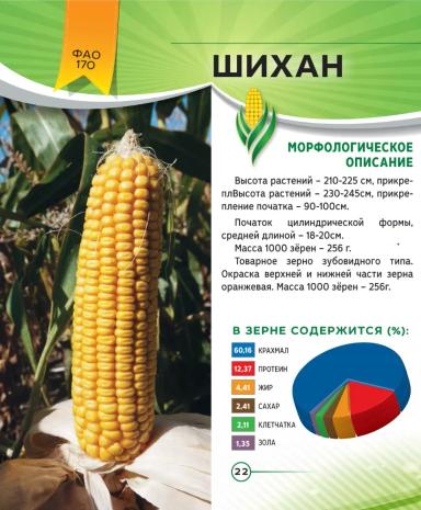 Шихан